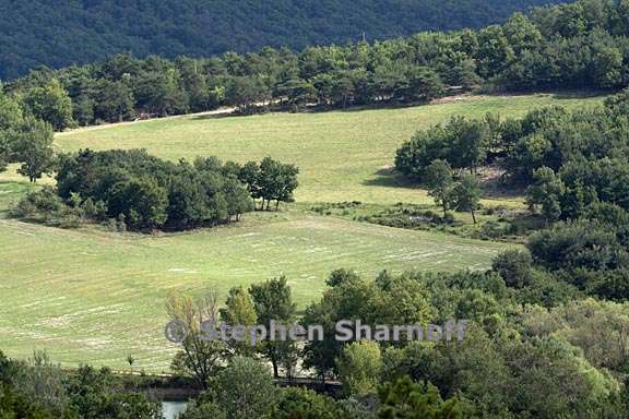 field along d216 1 graphic